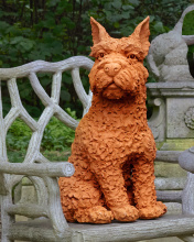 Images Shw1200-0835_12.jpg